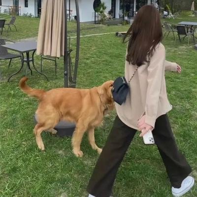 通灵美人